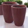 VASO ANIS