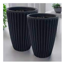 VASO ANIS