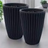 VASO ANIS