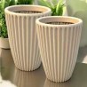 VASO ANIS
